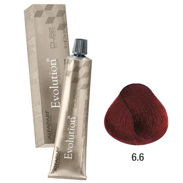 ALFAPARF Evolution Permanent Color  #6.6