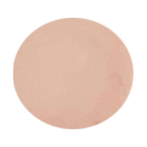 INFINITY Gel Color Perfect French 17 - Image 2