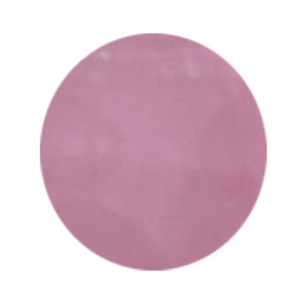 INFINITY Gel Color Pink Nude 21 - Image 2